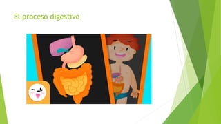 El proceso digestivo
 