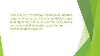 Cada una de estas etapas dependen del aparato
digestivo y sus partes y funciones, debido a que
si en algún punto falla un proceso, no se podría
continuar con el siguiente, causando una
afectación multiorgánica.
 