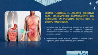 • A medida que los alimentos se transportan a través del
tracto gastrointestinal, los órganos digestivos
descomponen químicamente los alimentos en partes más
pequeñas usando:
• Movimientos, como masticar, exprimir y mezclar jugos
digestivos, como ácido estomacal, bilis y enzimas.
¿CÓMO FUNCIONA EL APARATO DIGESTIVO
PARA DESCOMPONER QUÍMICAMENTE LOS
ALIMENTOS EN PEQUEÑAS PARTES QUE EL
CUERPO PUEDE USAR?
 