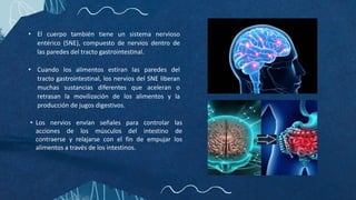 • El cuerpo también tiene un sistema nervioso
entérico (SNE), compuesto de nervios dentro de
las paredes del tracto gastrointestinal.
• Cuando los alimentos estiran las paredes del
tracto gastrointestinal, los nervios del SNE liberan
muchas sustancias diferentes que aceleran o
retrasan la movilización de los alimentos y la
producción de jugos digestivos.
• Los nervios envían señales para controlar las
acciones de los músculos del intestino de
contraerse y relajarse con el fin de empujar los
alimentos a través de los intestinos.
 