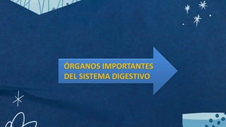 ÓRGANOS IMPORTANTES
DEL SISTEMA DIGESTIVO
 