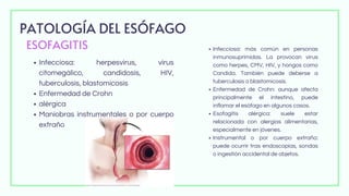 SISTEMA DIGESTIVO- esófago- UATX- PQC.pdf.pdf
