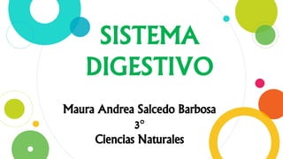 SISTEMA
DIGESTIVO
Maura Andrea Salcedo Barbosa
3°
Ciencias Naturales
 