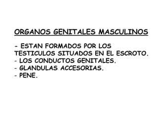 ORGANOS GENITALES MASCULINOS
- ESTAN FORMADOS POR LOS
TESTICULOS SITUADOS EN EL ESCROTO.
- LOS CONDUCTOS GENITALES.
- GLANDULAS ACCESORIAS.
- PENE.

 