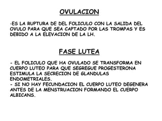 OVULACION
-ES LA RUPTURA DE DEL FOLICULO CON LA SALIDA DEL
OVULO PARA QUE SEA CAPTADO POR LAS TROMPAS Y ES
DEBIDO A LA ELEVACION DE LA LH.

FASE LUTEA
- EL FOLICULO QUE HA OVULADO SE TRANSFORMA EN
CUERPO LUTEO PARA QUE SEGREGUE PROGESTERONA
ESTIMULA LA SECRECION DE GLANDULAS
ENDOMETRIALES.
- SI NO HAY FECUNDACION EL CUERPO LUTEO DEGENERA
ANTES DE LA MENSTRUACION FORMANDO EL CUERPO
ALBICANS.

 
