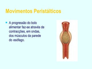 Movimentos Peristálticos A progressão do bolo alimentar faz-se através de contracções, em ondas, dos músculos da parede do   esófago. 