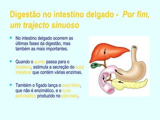 Digestão no intestino delgado -  Por fim, um trajecto sinuoso No intestino delgado ocorrem as últimas fases da digestão, mas também as mais importantes. Quando o  quimo  passa para o  duodeno , estimula a secreção do  suco intestinal  que contém várias enzimas. Também o fígado lança o  suco biliar , que não é enzimático, e o  suco pancreático  produzido no  pâncreas . 