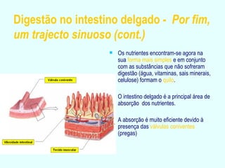 Digestão no intestino delgado -  Por fim, um trajecto sinuoso (cont.) Os nutrientes encontram-se agora na sua  forma mais simples  e em conjunto com as substâncias que não sofreram digestão (água, vitaminas, sais minerais, celulose) formam o  quilo . O intestino delgado é a principal área de absorção  dos nutrientes. A absorção é muito eficiente devido à presença das  válvulas coniventes  (pregas) 