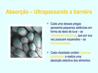 Absorção – Ultrapassando a barreira Cada uma dessas pregas apresenta pequenas saliências em forma de dedo de luva – as  vilosidades intestinais , que por sua vez possuem expansões – as  microvilosidades. Cada vilosidade contém  capilares sanguíneos  e realiza uma absorção   selectiva dos alimentos. 