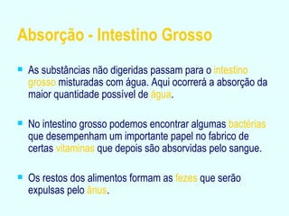 Absorção - Intestino Grosso As substâncias não digeridas passam para o  intestino grosso  misturadas com água. Aqui ocorrerá a absorção da maior quantidade possível de  água . No intestino grosso podemos encontrar algumas  bactérias  que desempenham um importante papel no fabrico de certas  vitaminas  que depois são absorvidas pelo sangue. Os restos dos alimentos formam as  fezes  que serão expulsas pelo  ânus . 