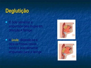 Deglutição  O bolo alimentar é empurrado pela língua em direcção à faringe. A  úvula   distende-se e tapa as fossas nasais, sendo o bolo alimentar empurrado para a faringe. 