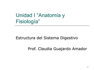 Unidad I “Anatomía y
Fisiología”


Estructura del Sistema Digestivo

      Prof. Claudia Guajardo Amador



                                      1
 