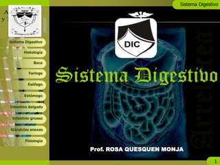 Sistema Digestivo
1
Boca
Faringe
Esófago
Estómago
Histología
Sistema Digestivo
Intestino delgado
Intestino grueso
Glándulas anexas
Fisiología
Sistema Digestivo
Prof. ROSA QUESQUEN MONJA
 