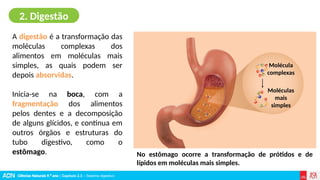 Ciências Naturais 9.º ano | Capítulo 2.3 – Sistema digestivo
A digestão é a transformação das
moléculas complexas dos
alimentos em moléculas mais
simples, as quais podem ser
depois absorvidas.
Inicia-se na boca, com a
fragmentação dos alimentos
pelos dentes e a decomposição
de alguns glícidos, e continua em
outros órgãos e estruturas do
tubo digestivo, como o
estômago.
2. Digestão
Moléculas
mais
simples
Molécula
complexas
No estômago ocorre a transformação de prótidos e de
lípidos em moléculas mais simples.
 