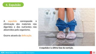 Ciências Naturais 9.º ano | Capítulo 2.3 – Sistema digestivo
A expulsão corresponde à
eliminação dos materiais não
digeridos e dos nutrientes não
absorvidos pelo organismo.
Ocorre através da defecação.
4. Expulsão
A expulsão é a última fase da nutrição.
 