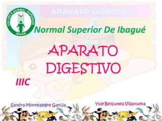 APARATO
DIGESTIVO
Normal Superior De Ibagué
IIIC
 