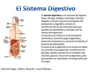 El aparato digestivo es el conjunto de órganos
                                          (boca, faringe, esófago, estómago, intestino
                                          delgado e intestino grueso) encargados del
                                          proceso de la digestión, es decir, la
                                          transformación de los alimentos para que
                                          puedan ser absorbidos y utilizados por las
                                          células del organismo.
                                          La función que realiza es la de transporte
                                          (alimentos), secreción (jugos digestivos),
                                          absorción (nutrientes) y excreción (mediante el
                                          proceso de defecación).
                                          El proceso de la digestión es el mismo en todos
                                          los animales mono gástricos: transformar los
                                          glúcidos, lípidos y proteínas en unidades más
                                          sencillas, gracias a las enzimas digestivas, para
                                          que puedan ser absorbidas y transportadas por
                                          la sangre


Valentina Poppi , Delfina Muscillo y Juana Blaksley .
 