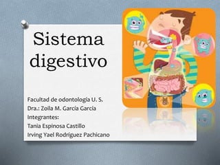 Sistema
digestivo
Facultad de odontología U. S.
Dra.: Zoila M. García García
Integrantes:
Tania Espinosa Castillo
Irving Yael Rodríguez Pachicano
 