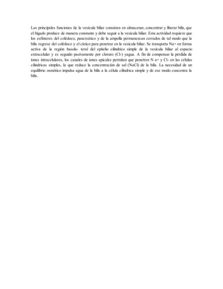 Las principales funciones de la vesícula biliar consisten en almacenar, concentrar y liberar bilis, que
el hígado produce de manera constante y debe seguir a la vesícula biliar. Esta actividad requiere que
los esfínteres del colédoco, pancreático y de la ampolla permanezcan cerrados de tal modo que la
bilis regrese del colédoco y el cístico para penetrar en la vesícula biliar. Se transporta Na+ en forma
activa de la región basola- teral del epitelio cilíndrico simple de la vesícula biliar al espacio
extracelular y es seguido pasivamente por cloruro (Cl-) yagua. A fin de compensar la pérdida de
iones intracelulares, los canales de iones apicales permiten que penetren N a+ y Cl- en las células
cilíndricas simples, lo que reduce la concentración de sal (NaCl) de la bilis. La necesidad de un
equilibrio osmótico impulsa agua de la bilis a la célula cilíndrica simple y de ese modo concentra la
bilis.
 
