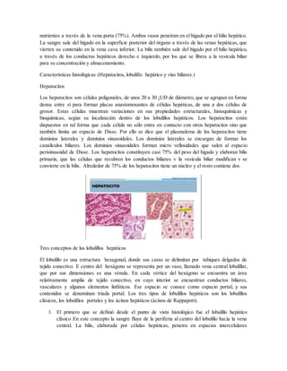 nutrientes a través de la vena porta (75%). Ambos vasos penetran en el hígado por el hilio hepático.
La sangre sale del hígado en la superficie posterior del órgano a través de las venas hepáticas, que
vierten su contenido en la vena cava inferior. La bilis también sale del hígado por el hilio hepático,
a través de los conductos hepáticos derecho e izquierdo, por los que se libera a la vesícula biliar
para su concentración y almacenamiento.
Características histológicas (Hepatocitos, lobulillo hepático y vías biliares.)
Hepatocitos
Los hepatocitos son células poligonales, de unos 20 a 30 ¡UD de diámetro, que se agrupan en forma
densa entre sí para formar placas anastomosantes de células hepáticas, de una a dos células de
grosor. Estas células muestran variaciones en sus propiedades estructurales, histoquímicas y
bioquímicas, según su localización dentro de los lobulillos hepáticos. Los hepatocitos están
dispuestos en tal forma que cada célula no sólo entra en contacto con otros hepatocitos sino que
también limita un espacio de Disse. Por ello se dice que el plasmalema de los hepatocitos tiene
dominios laterales y dominios sinusoidales. Los dominios laterales se encargan de formar los
canalículos biliares. Los dominios sinusoidales forman micro vellosidades que salen al espacio
perisinusoidal de Disse. Los hepatocitos constituyen casi 75% del peso del hígado y elaboran bilis
primaria, que las células que recubren los conductos biliares v la vesícula biliar modifican v se
convierte en la bilis. Alrededor de 75% de los hepatocitos tiene un núcleo y el resto contiene dos.
Tres conceptos de los lobulillos hepáticos
El lobulillo es una estructura hexagonal, donde sus caras se delimitan por tabiques delgados de
tejido conectivo. E centro del hexágono se representa por un vaso, llamado vena central lobulillar,
que por sus dimensiones es una vénula. En cada vértice del hexágono se encuentra un área
relativamente amplia de tejido conectivo, en cuyo interior se encuentran conductos biliares,
vasculares y algunos elementos linfáticos. Ese espacio se conoce como espacio portal, y sus
contenidos se denominan triada portal. Los tres tipos de lobulillos hepáticos son los lobulillos
clásicos, los lobulillos portales y los ácinos hepáticos (ácinos de Rappaport).
1. El primero que se definió desde el punto de vista histológico fue el lobulillo hepático
clásico En este concepto la sangre fluye de la periferia al centro del lobulillo hacia la vena
central. La bilis, elaborada por células hepáticas, penetra en espacios intercelulares
 