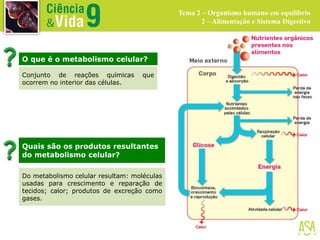 Conjunto de reações químicas que
ocorrem no interior das células.
O que é o metabolismo celular?
Quais são os produtos resultantes
do metabolismo celular?
Do metabolismo celular resultam: moléculas
usadas para crescimento e reparação de
tecidos; calor; produtos de excreção como
gases.
Tema 2 – Organismo humano em equilíbrio
2 – Alimentação e Sistema Digestivo
 