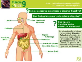 Que órgãos fazem parte do sistema digestivo?
Como se encontra organizado o sistema digestivo?
Boca Glândulas
salivares
Esófago
Fígado
Estômago
Pâncreas
Intestino grosso
Intestino delgado
Reto e ânus
Vesícula
biliar
Que tipo de
transformações
sofrem os alimentos?
Os alimentos são sujeitos a
processos de digestão
física (transformação em
pequenos fragmentos) e
processos de digestão
química (simplificação de
moléculas grandes em
moléculas mais pequenas)
por ação das enzimas.
Tema 2 – Organismo humano em equilíbrio
2 – Alimentação e Sistema Digestivo
 