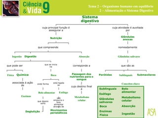 Sistema
digestivo
cuja principal função é
assegurar a
Nutrição
que compreende
Digestão
que pode ser
Química
associada à ação
de
que se inicia
na
onde forma
que depois
sofre
Deglutição
está ligada
ao
que
empurra o
bolo
alimentar
através de
Movimentos
peristálticos
corresponde a
Passagem dos
nutrientes para o
sangue
cujo destino final
é
cuja atividade é auxiliada
por
Glândulas
anexas
nomeadamente
que são as
Parótidas Submaxilares
Sublinguais
Tema 2 – Organismo humano em equilíbrio
2 – Alimentação e Sistema Digestivo
Esófago
Glândulas
salivares
Boca
Enzimas
Física
Bolo
alimentar
Metabolismo
celular
Absorção
Ingestão
Sublinguais
Esófago
Glândulas salivares
Boca
Enzimas
Física
Bolo alimentar
Metabolismo
celular
Absorção
Ingestão
Conceitos chave
 