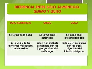DIFERENCIA ENTRE BOLO ALIMENTICIO.
               QUIMO Y QUILO


 BOLO ALIMENTICIO             QUIMO                   QUILO




Se forma en la boca       Se forma en el          Se forma en el
                            estómago.           intestino delgado

   Es la unión de los   Es la unión del bolo   Es la unión del quimo
alimentos masticados    alimenticio con los         con los jugos
     con la saliva      jugos gástricos del         digestivos del
                             estómago.           intestino delgado.
 