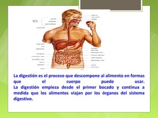 La digestión es el proceso que descompone al alimento en formas
que            el          cuerpo         puede            usar.
La digestión empieza desde el primer bocado y continua a
medida que los alimentos viajan por los órganos del sistema
digestivo.
 