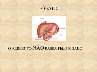 FÍGADO O ALIMENTO  NÃO  PASSA PELO FÍGADO 