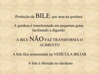 Produção da  BILE  que atua na gordura A gordura é transformada em pequenas gotas facilitando a digestão A bile fica armazenada na VESÍCULA BILIAR A bile é liberada no duodeno A BILE  NÃO  FAZ TRANSFORMA O ALIMENTO 