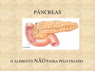 PÂNCREAS O ALIMENTO  NÃO  PASSA PELO FÍGADO 