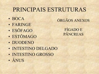 PRINCIPAIS ESTRUTURAS BOCA FARINGE ESÔFAGO ESTÔMAGO DUODENO INTESTINO DELGADO INTESTINO GROSSO ÂNUS ÓRGÃOS ANEXOS FÍGADO E PÂNCREAS 