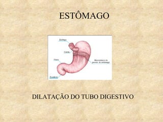 ESTÔMAGO DILATAÇÃO DO TUBO DIGESTIVO 