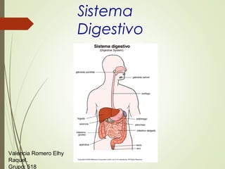 Sistema
Digestivo
Valencia Romero Elhy
Raquel.
Grupo: 518
 