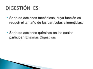  Serie de acciones mecánicas, cuya función es
reducir el tamaño de las partículas alimenticias.
 Serie de acciones químicas en las cuales
participan Enzimas Digestivas
 