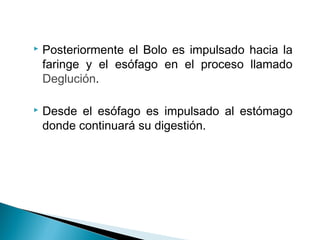  Posteriormente el Bolo es impulsado hacia la
faringe y el esófago en el proceso llamado
Deglución.
 Desde el esófago es impulsado al estómago
donde continuará su digestión.
 