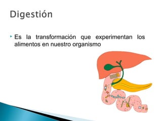  Es la transformación que experimentan los
alimentos en nuestro organismo
 