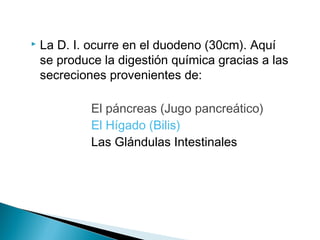  La D. I. ocurre en el duodeno (30cm). Aquí
se produce la digestión química gracias a las
secreciones provenientes de:
El páncreas (Jugo pancreático)
El Hígado (Bilis)
Las Glándulas Intestinales
 