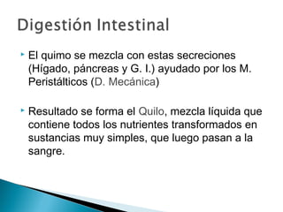  El quimo se mezcla con estas secreciones
(Hígado, páncreas y G. I.) ayudado por los M.
Peristálticos (D. Mecánica)
 Resultado se forma el Quilo, mezcla líquida que
contiene todos los nutrientes transformados en
sustancias muy simples, que luego pasan a la
sangre.
 