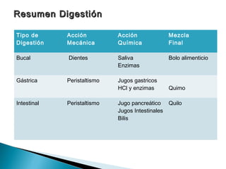 Tipo de
Digestión
Acción
Mecánica
Acción
Química
Mezcla
Final
Bucal Dientes Saliva
Enzimas
Bolo alimenticio
Gástrica Peristaltismo Jugos gastricos
HCl y enzimas Quimo
Intestinal Peristaltismo Jugo pancreático
Jugos Intestinales
Bilis
Quilo
Resumen DigestiónResumen Digestión
 