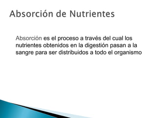 Absorción es el proceso a través del cual los
nutrientes obtenidos en la digestión pasan a la
sangre para ser distribuidos a todo el organismo
 