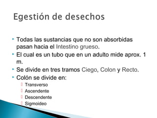  Todas las sustancias que no son absorbidas
pasan hacia el Intestino grueso.
 El cual es un tubo que en un adulto mide aprox. 1
m.
 Se divide en tres tramos Ciego, Colon y Recto.
 Colón se divide en:
 Transverso
 Ascendente
 Descendente
 Sigmoideo
 