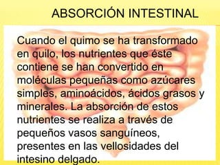 Cuando el quimo se ha transformado
en quilo, los nutrientes que éste
contiene se han convertido en
moléculas pequeñas como azúcares
simples, aminoácidos, ácidos grasos y
minerales. La absorción de estos
nutrientes se realiza a través de
pequeños vasos sanguíneos,
presentes en las vellosidades del
intesino delgado.
ABSORCIÓN INTESTINAL
 