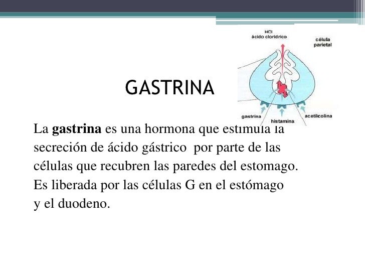 GASTRINA FUNCION PDF DOWNLOAD GASTRINA FUNCION PDF DOWNLOAD