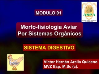 MODULO 01
Morfo-fisiología Aviar
Por Sistemas Orgánicos
SISTEMA DIGESTIVO
Víctor Hernán Arcila Quiceno
MVZ Esp. M.Sc (c).
 