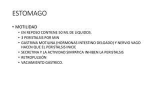 ESTOMAGO
• MOTILIDAD
• EN REPOSO CONTIENE 50 ML DE LIQUIDOS.
• 3 PERISTALSIS POR MIN
• GASTRINA MOTILINA (HORMONAS INTESTINO DELGADO) Y NERVIO VAGO
HACEN QUE EL PERISTALSIS INICIE
• SECRETINA Y LA ACTIVIDAD SIMPATICA INHIBEN LA PERISTALSIS
• RETROPULSIÓN
• VACIAMIENTO GASTRICO.
 