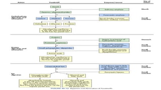 Digestión y absorción intestinal
 