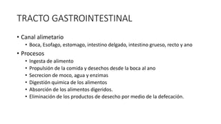 TRACTO GASTROINTESTINAL
• Canal alimetario
• Boca, Esofago, estomago, intestino delgado, intestino grueso, recto y ano
• Procesos
• Ingesta de alimento
• Propulsión de la comida y desechos desde la boca al ano
• Secrecion de moco, agua y enzimas
• Digestión quimica de los alimentos
• Absorción de los alimentos digeridos.
• Eliminación de los productos de desecho por medio de la defecación.
 