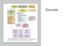 Obesidad
 